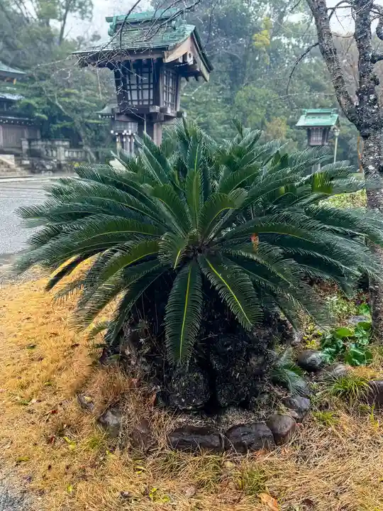 大分縣護國神社(大分県)