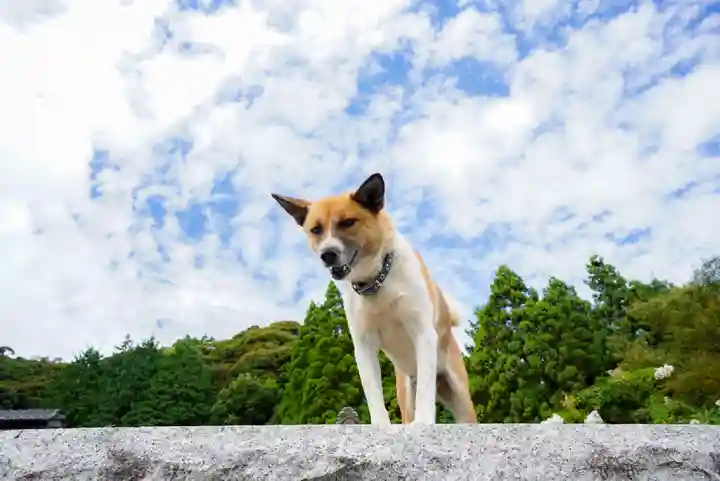 正法寺(山口県)