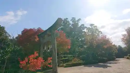 壺井八幡宮の鳥居