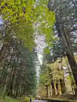 日光二荒山神社(栃木県)