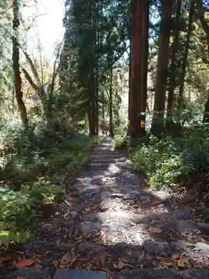 戸隠神社九頭龍社の周辺