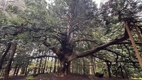 真山神社(秋田県)