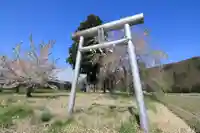 大山祇神社の鳥居