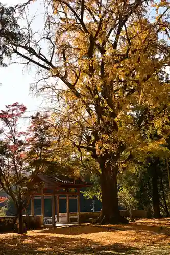 禅蔵寺(愛媛県)