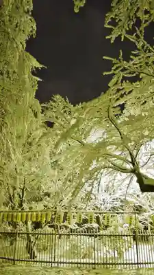 平野神社のその他建物