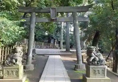 渋谷氷川神社の鳥居