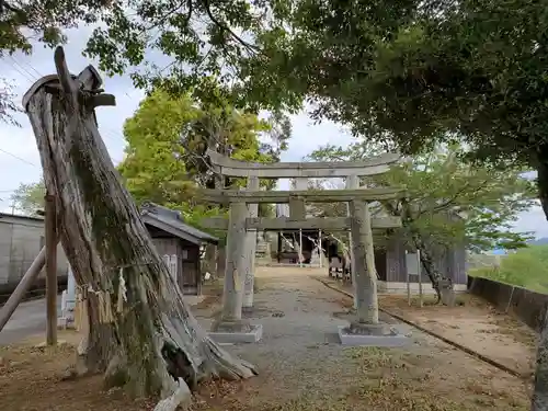 住吉神社の鳥居