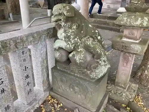 白髭神社の狛犬