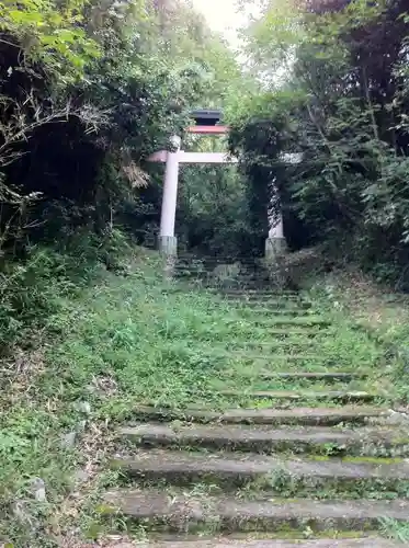 宇佐神宮の鳥居