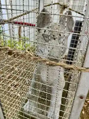 岩山稲荷神社(千葉県)
