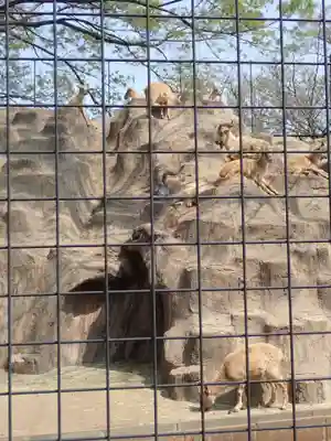 天照皇大神(神奈川県)