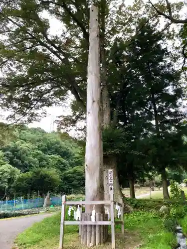 諏訪大社上社前宮の建物その他