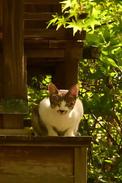 城上神社(島根県)
