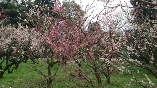 北野天満宮の庭園