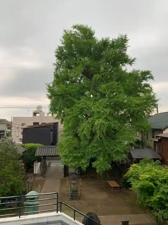 神明寺(千葉県)
