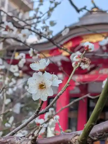 成子天神社(東京都)
