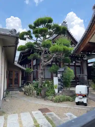 常楽寺の本殿