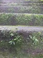 唐澤山神社の自然