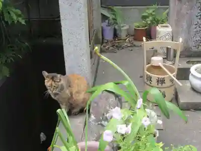 興禅寺(神奈川県)