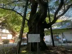 雲峰寺(山梨県)