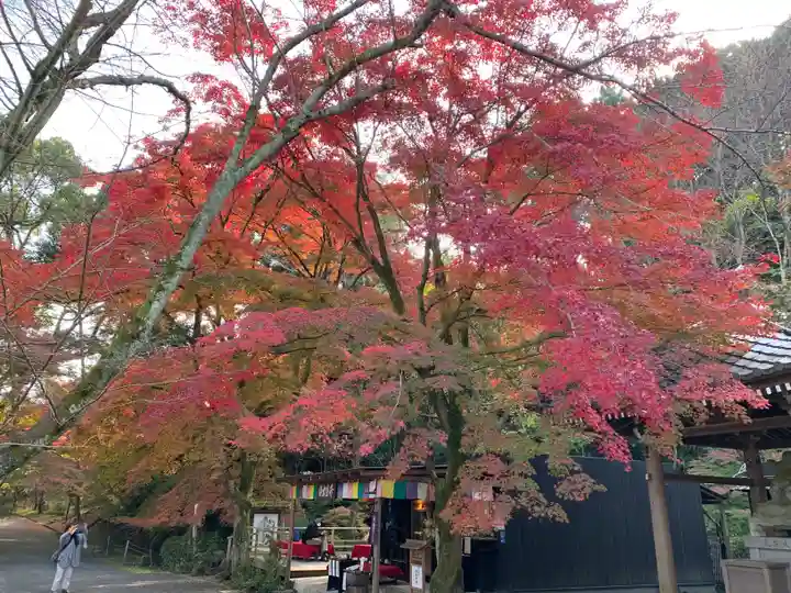 園城寺(三井寺)(滋賀県)