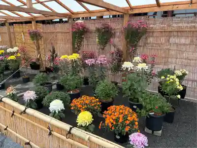 本願寺（西本願寺）(京都府)