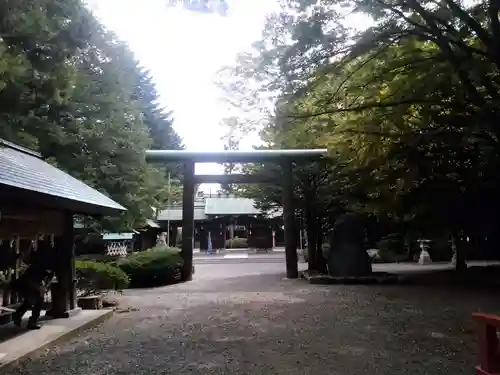 琴似神社の鳥居