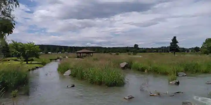 金毘羅神社の周辺