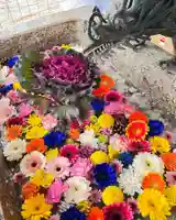 札幌諏訪神社の手水舎