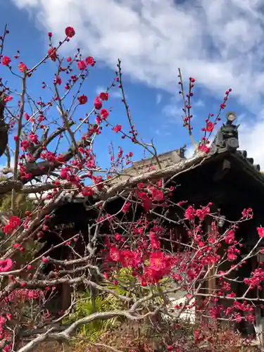 荘嚴浄土寺(大阪府)