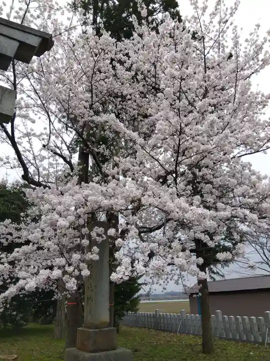白山神社(福井県)