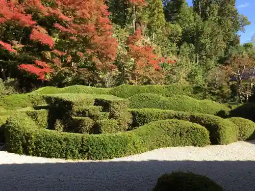 大池寺の庭園