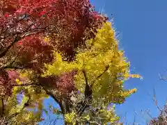 長壽寺（長寿寺）の自然