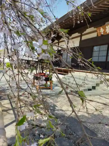 南養寺の本殿・本堂