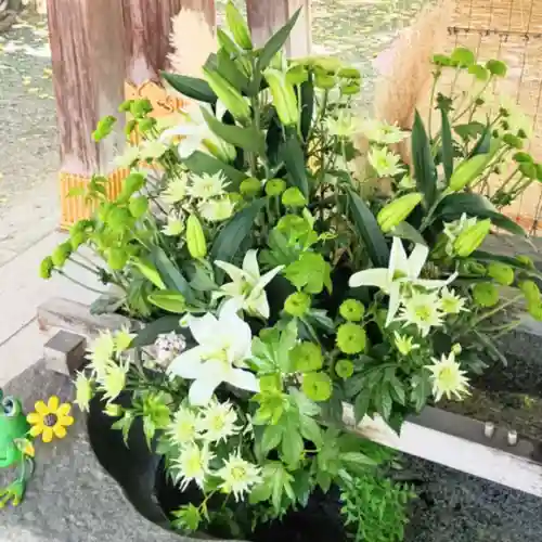 彌彦神社　(伊夜日子神社)(北海道)