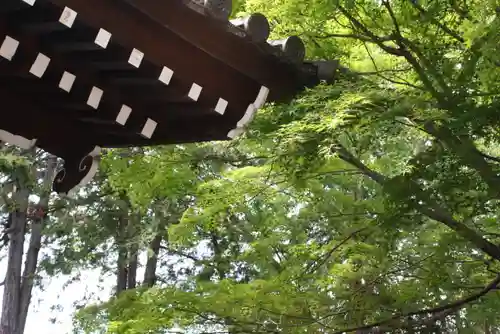 東福禅寺（東福寺）(京都府)