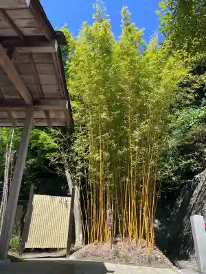神祇大社の{uncategorized: "未分類", other: "その他", undefined: "問題あり", building: "その他建物", grave: "お墓", sacred_gate: "鳥居", guardian: "狛犬", statue: "像", buddha: "仏像", history: "歴史", nature: "自然", garden: "庭園", animal: "動物", pagoda: "塔", temizu: "手水舎", mountain_gate: "山門・神門", sanctuary: "本殿・本堂", subordinate: "末社・摂社", art: "芸術", scenery: "景色", jizo: "地蔵", ema: "絵馬", goshuin: "御朱印", omikuji: "おみくじ", items: "授与品その他", amulet: "お守り", goshuincho: "御朱印帳", eats: "食事", festival: "お祭り", votive_dance: "神楽", shichigosan: "七五三参", wedding: "結婚式", experience: "体験その他", initially: "初詣", around: "周辺", anti_infection: "感染症対策"}