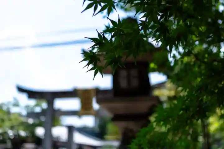 晴明神社(京都府)