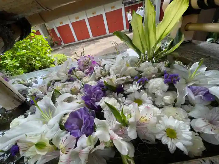 自由が丘熊野神社の手水舎