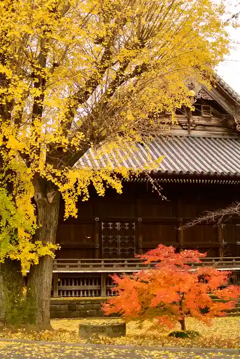 寛永寺(根本中堂)のその他建物