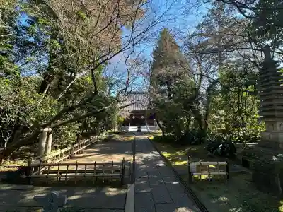大正寺(東京都)