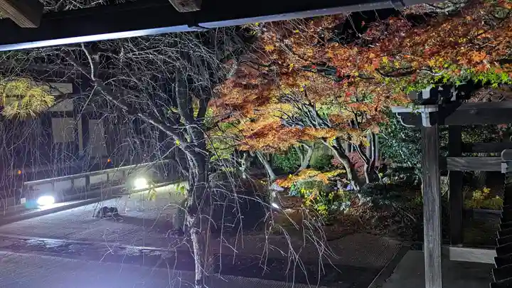 妙顯寺(妙顕寺)(京都府)