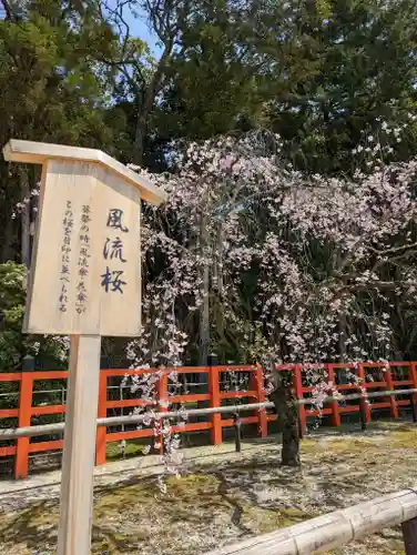 賀茂別雷神社（上賀茂神社）(京都府)