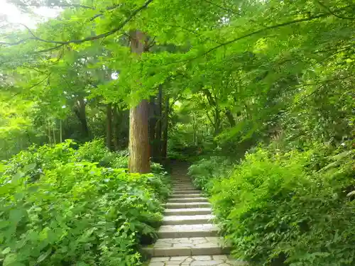 瑞泉寺の庭園