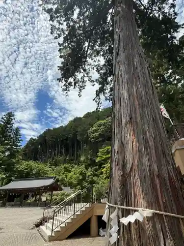高麗神社(埼玉県)