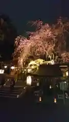 子安神社の自然