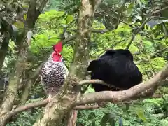 石上神宮(奈良県)