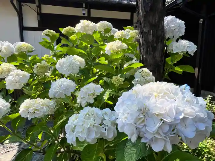 玉津島神社(和歌山県)