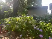 仙波東照宮(埼玉県)