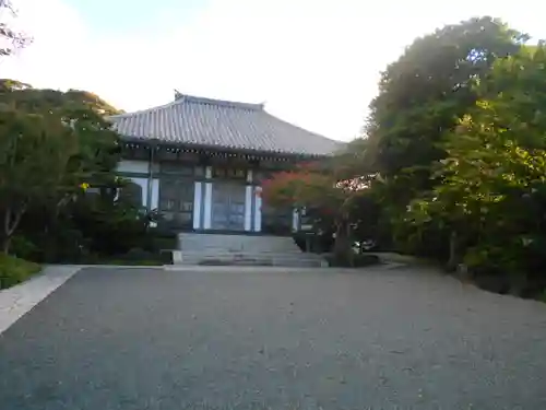 長谷寺の本殿・本堂